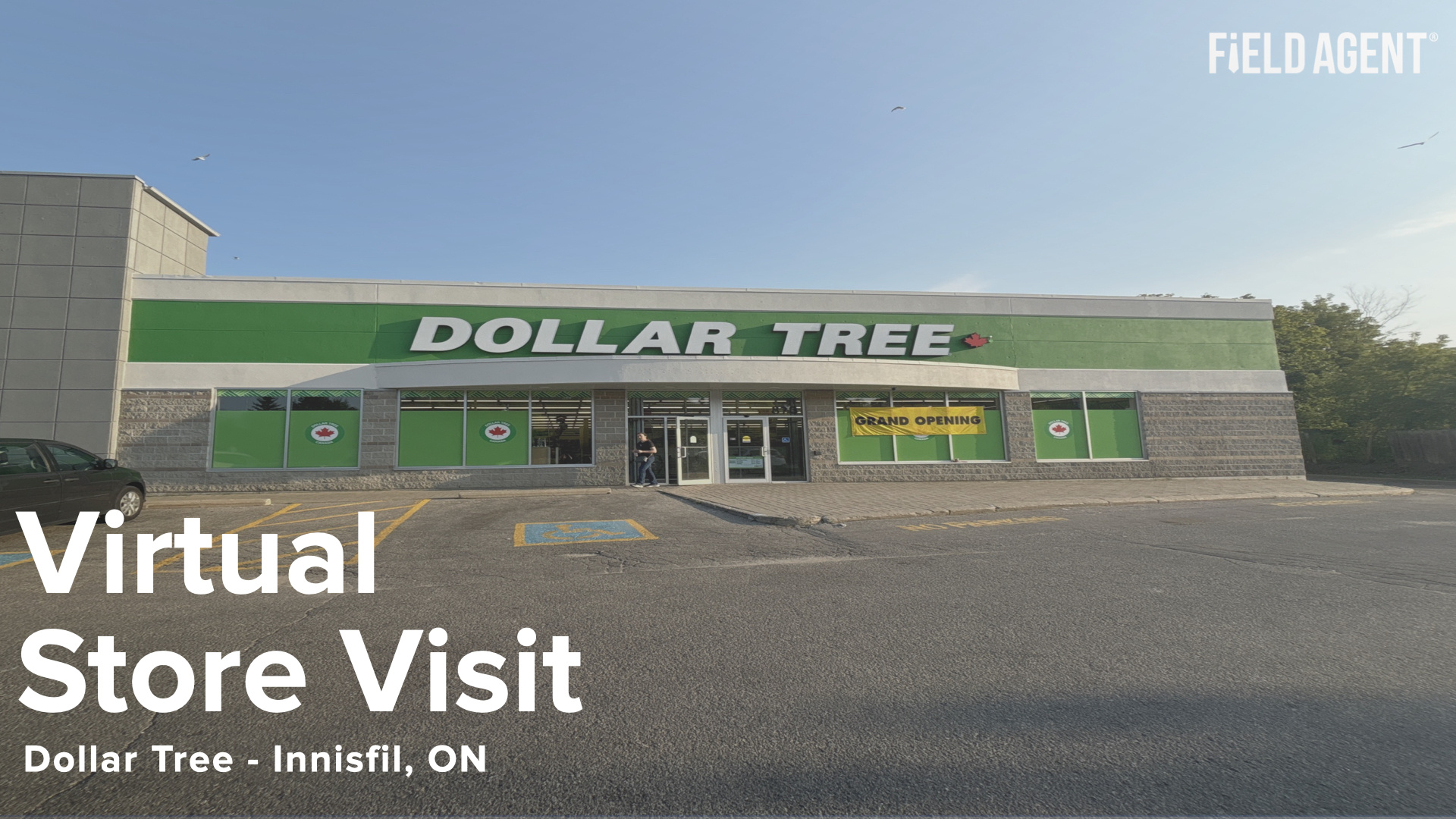 Virtual Store Tour Dollar Tree, Innisfil